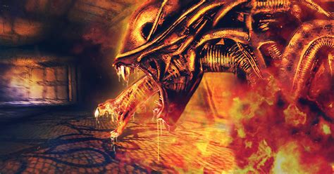 Image result for Alien versus Predator Games