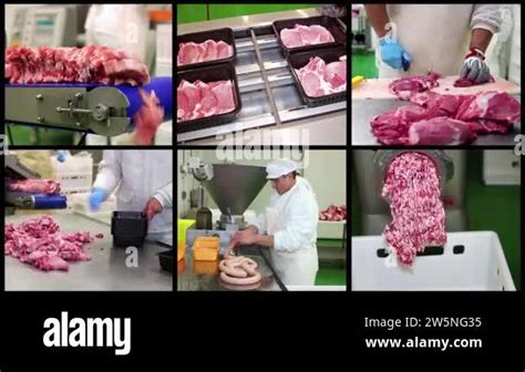Inside Cattle Processing Plant Video 的图像结果