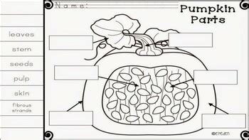 Image result for Pumpkin Object Lesson