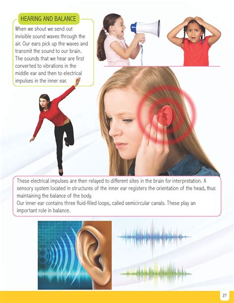 JoGenii |Human Body Minipedia | Dreamland Publications