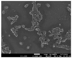 Influence of Zinc on Histoplasma capsulatum Planktonic and Biofilm Cells