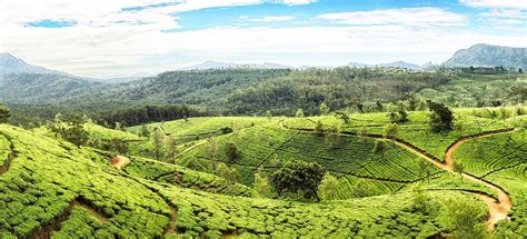 Sri Lanka Tourism (2023): Best of Sri Lanka - Tripadvisor