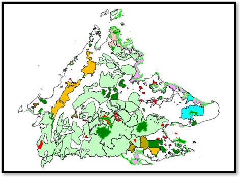BUKIT PITON, THE LOST HOME OF THE ORANGUTANS? :: SynBorneo
