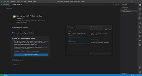 Image result for Vscode Python Interactive Window