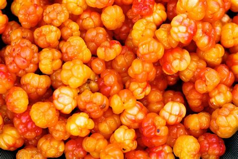 What is cloudberry sunjoy?