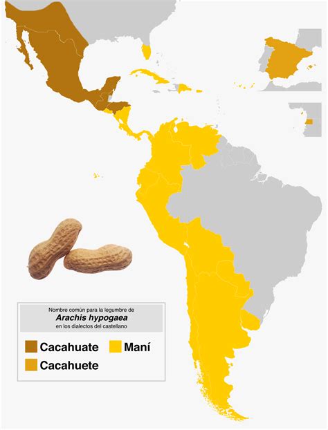 How to say "peanut" across the Spanish speaking world : r/LinguisticMaps
