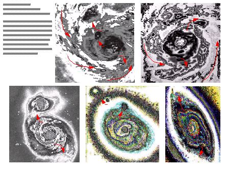 Cosmic structures and vortex model