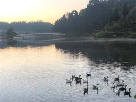 Best hotel to stay in Mirik | Amaira Resorts | Mirik