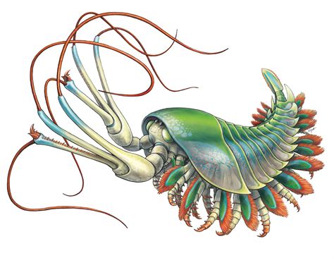 Home | Danielle Dufault