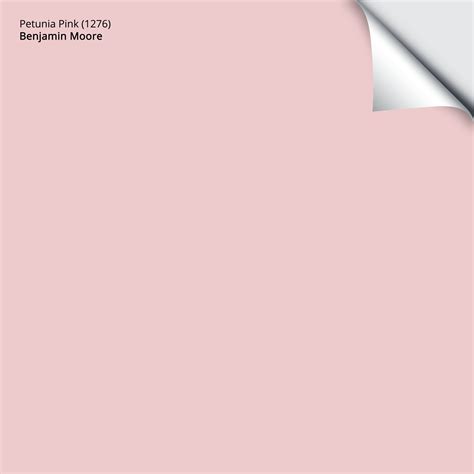 Light Pink Paint Colors Home Depot at Sheila Cline blog