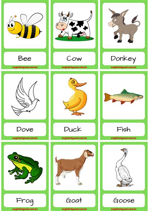animal pictures pdf