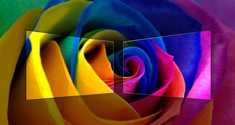 Image result for Full Array Backlight vs Direct Lit LED