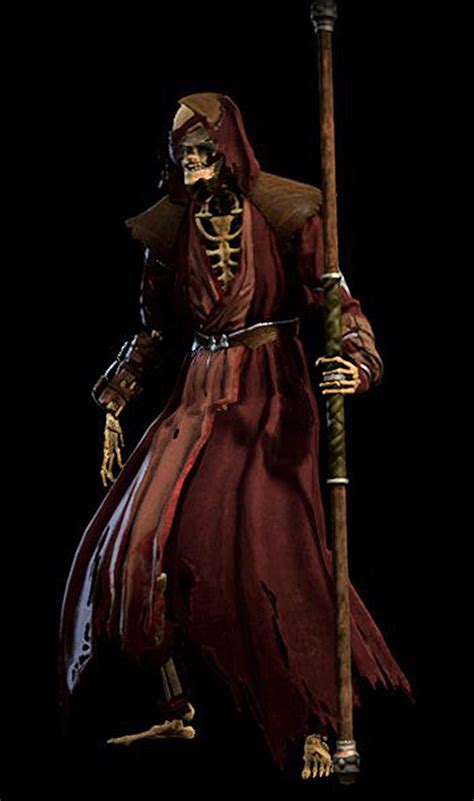 Fallen Wizard - bg3.wiki