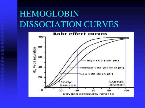PPT - oxygen therapy PowerPoint Presentation, free download - ID:1173506