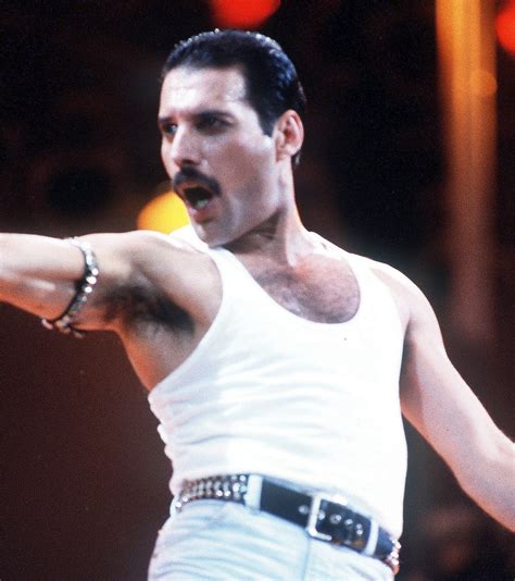 Freddie Mercury : Quem é mais famoso: Queen de Freddie Mercury ou ...