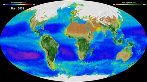 Earth System Code Examples 的图像结果