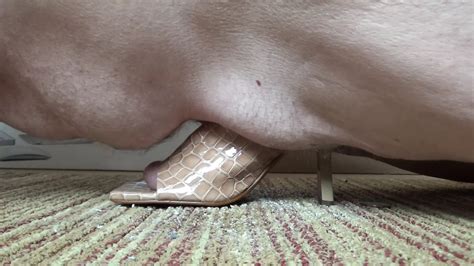 Image result for Alien Crawling On Walls