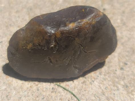 Dark brown beautiful half dollar size almost translucent found I ...