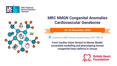 Mill_lab (@Mill_lab@mstdn.social) - Mastodon 🐘