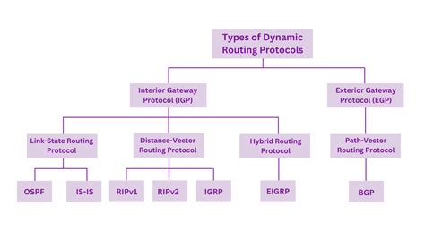 Image result for Routing Protocols in Computer Networks