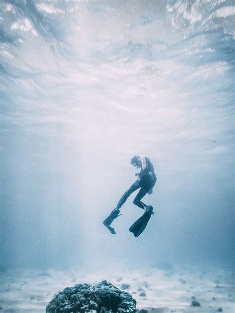 Passionate about the Deep Sea? These 10 career paths are waiting for ...