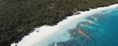 Image result for World Creator Tutorial