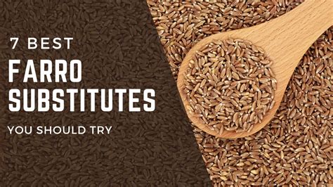 Best Farro Substitutes for Your Healthy Recipes - FOODANDKITCHENAPPLIANCES