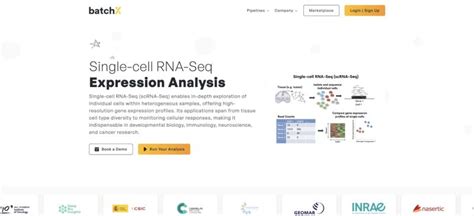 Image result for RNA-Seq Scripts with Sbatch