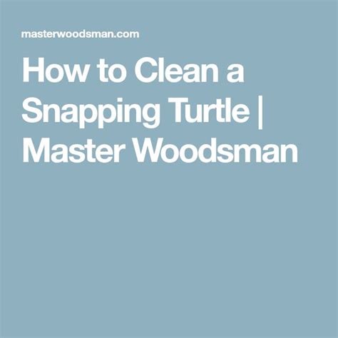 Image result for Snapping Turtle Cleaning