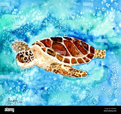 Sea Turtle Painting