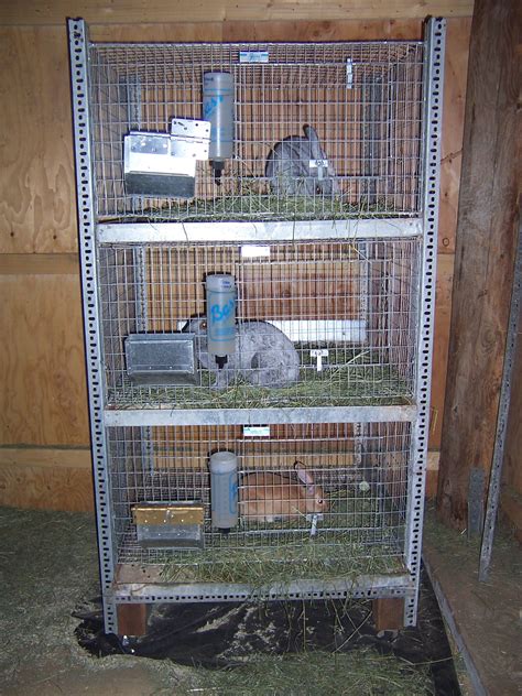 Best stackable rabbit cages 2024 review stacking wire cage bunnies ...