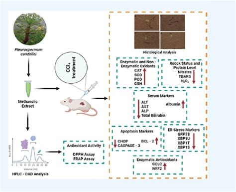 Creative Scientific Graphical Abstract 的图像结果