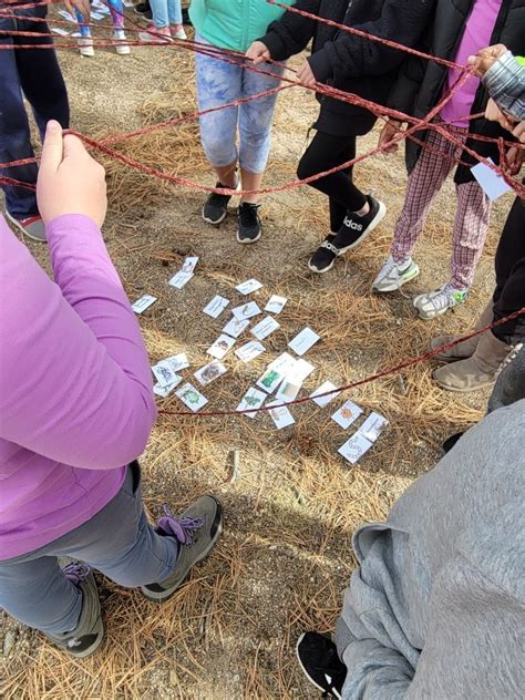 Image result for Grade 5 Science Lessons