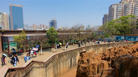 Visite Yunnan: o melhor de Yunnan, China – Viagens 2022 | Expedia Turismo