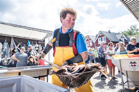 Fish in the harbor in Gager