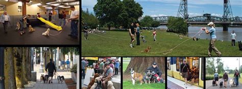 Foundations - Basic Obedience Classes [5 Weeks], 8645 SW Birchwood Rd ...