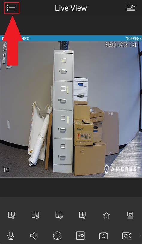 Amcrest Web View 的图像结果