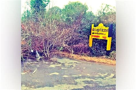 4 village panchayats shut as Tasmac closure may force tribals to resume ...