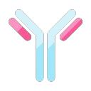 Antibodies for Control Line - Bionovus Technologies