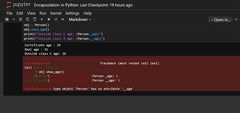 Image result for Python Coding for Encapsulation