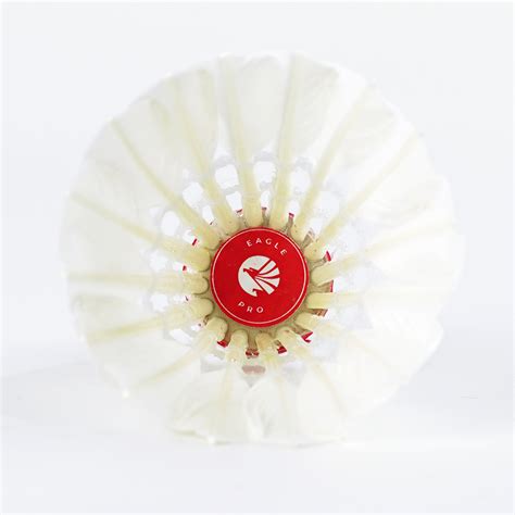 Image result for Java Pro