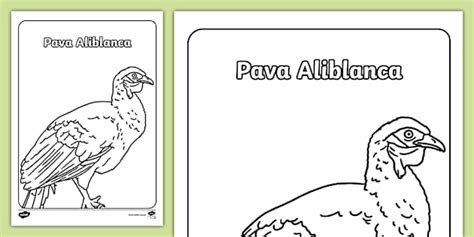 Hoja para colorear: Pava Aliblanca