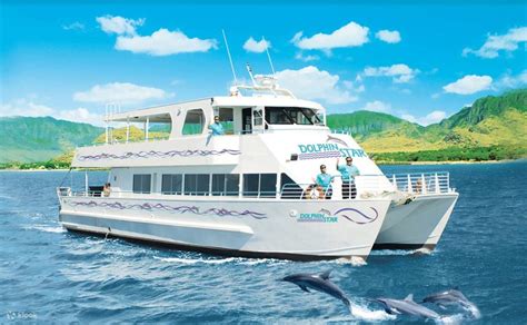 Oahu Wild Dolphin Watching Cruise with Optional BBQ and Snorkel - Klook ...