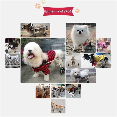 Buy Kelendle Adjustable Dog Wheelchair Foldable Dog Wheelchair for ...