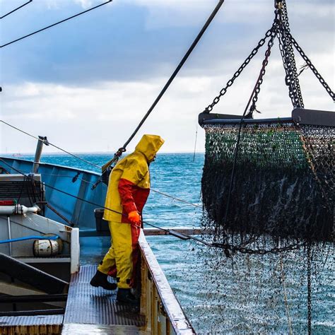 Factors Affecting Halibut Price Per Pound – Alaskan Salmon Company