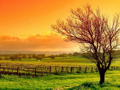 The right to development. Do we need it? | Meer