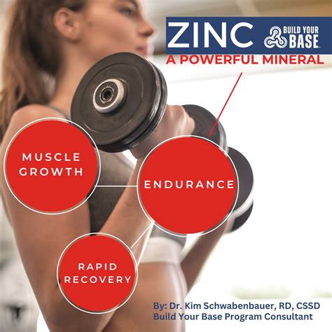 Benefits Of Zinc For Muscle Growth