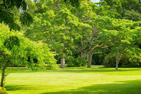 Rezultat imagine pentru Privacy Moderate