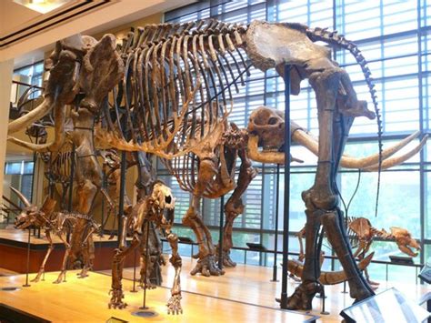 THE 10 BEST Things to Do Near University of Massachusetts Amherst