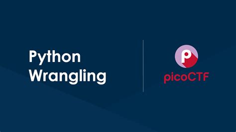 Image result for picoCTF Python Wrangling Solution